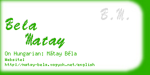 bela matay business card